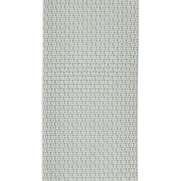 RAPWAPWS105001.jpg