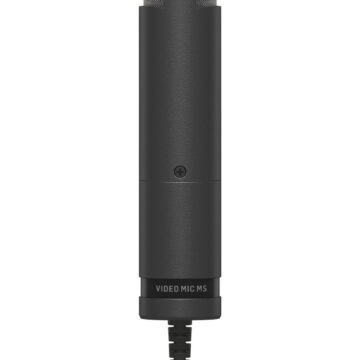 IABEHVIDEMICMS006.jpg