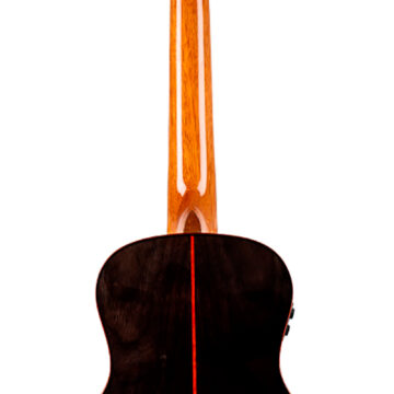 ISFLIDIANATESW005.jpg
