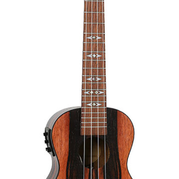 ISFLIDUC460EQA.jpg