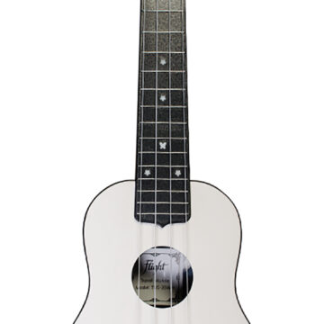 ISFLITUS35001.jpg