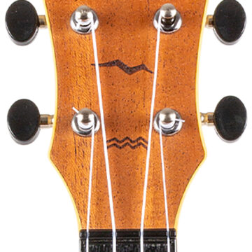 ISFLITUS53009.jpg