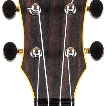 ISFLITUS55AMAR009.jpg