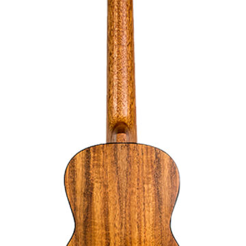 ISFLIVICTOREQA002.jpg
