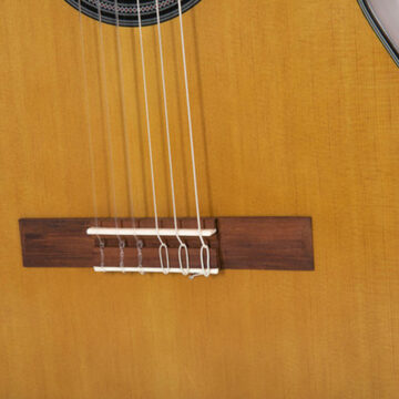ISGEWVG500144003.jpg