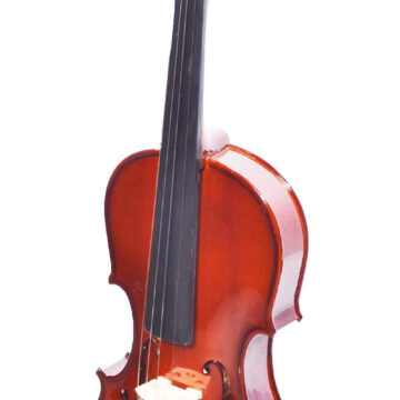 ISSEVDLXLSVI15006.jpg