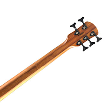 ISSPTNSPULS5002.jpg
