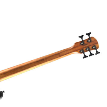 ISSPTNSPULS5007.jpg
