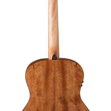 ISWASO12SE001.jpg